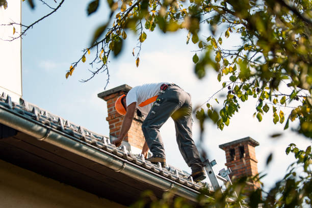Gutter Installation and Roofing in Fort Leonard Wood, MO